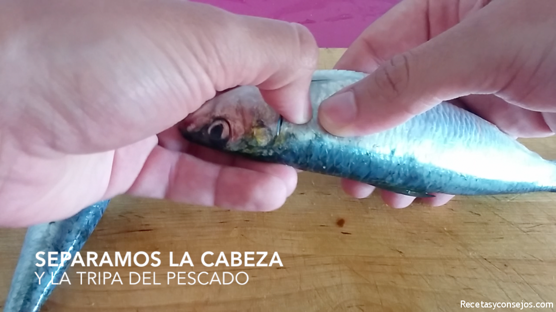 Cómo limpiar sardinas