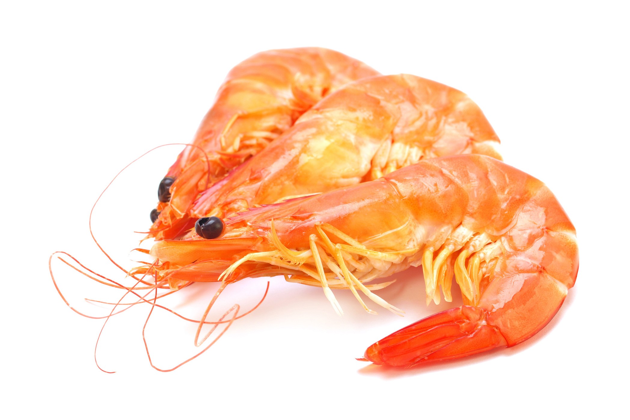 Gambas - Recetas y Consejos